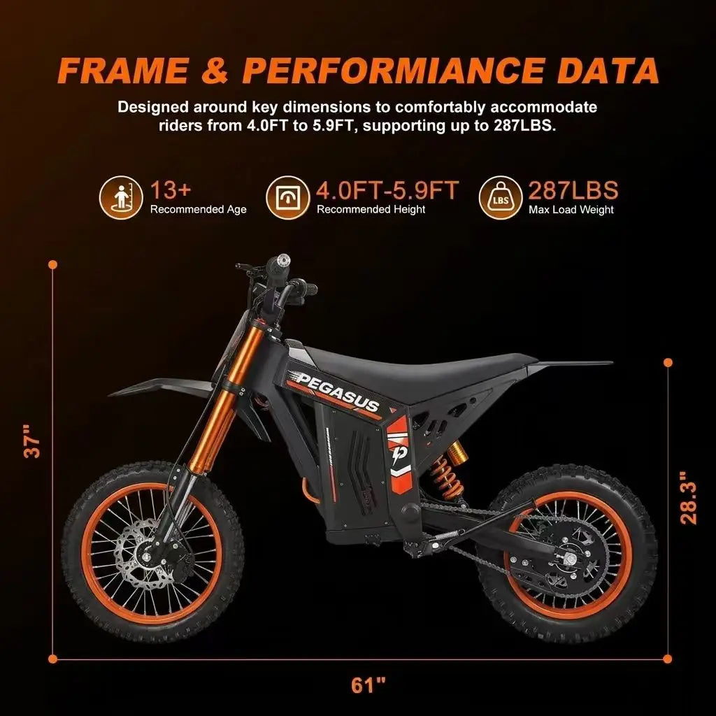E Motorcycle   Aluminum Alloy Dirt Bike  Fat Tire Off-road New Energy